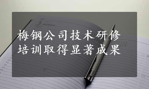 梅钢公司技术研修培训取得显著成果