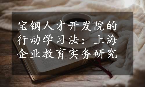 宝钢人才开发院的行动学习法：上海企业教育实务研究