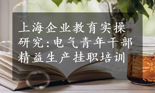 上海企业教育实操研究:电气青年干部精益生产挂职培训