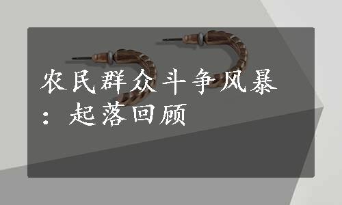 农民群众斗争风暴：起落回顾