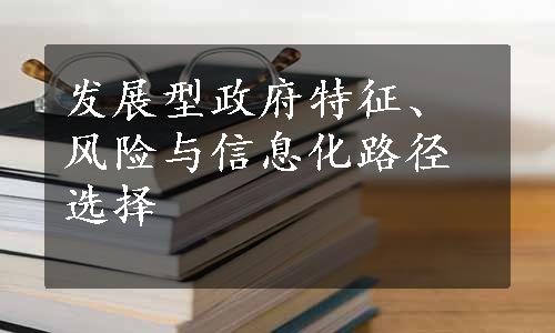 发展型政府特征、风险与信息化路径选择