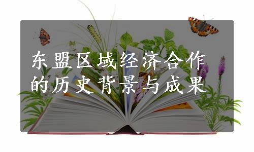 东盟区域经济合作的历史背景与成果