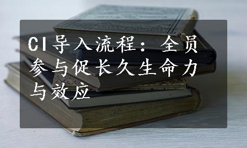 CI导入流程：全员参与促长久生命力与效应