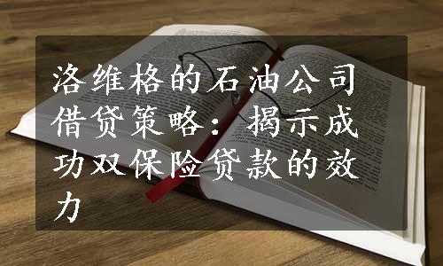 洛维格的石油公司借贷策略：揭示成功双保险贷款的效力