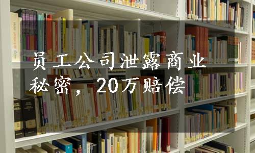 员工公司泄露商业秘密，20万赔偿