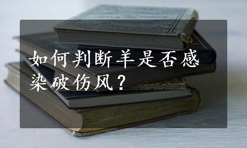 如何判断羊是否感染破伤风？