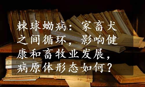 棘球蚴病：家畜犬之间循环，影响健康和畜牧业发展，病原体形态如何？