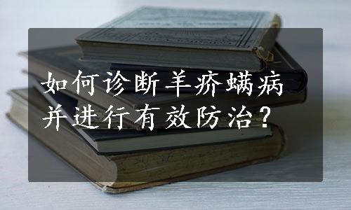 如何诊断羊疥螨病并进行有效防治？