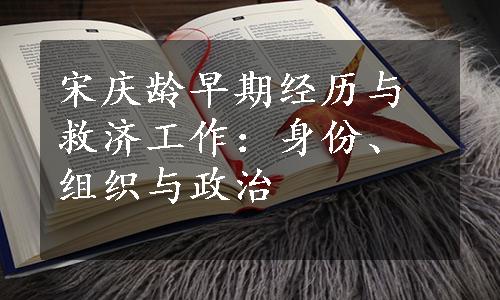 宋庆龄早期经历与救济工作：身份、组织与政治