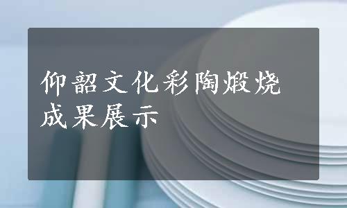 仰韶文化彩陶煅烧成果展示