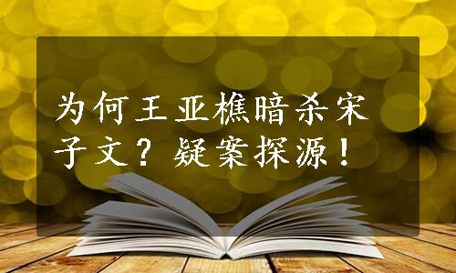 为何王亚樵暗杀宋子文？疑案探源！