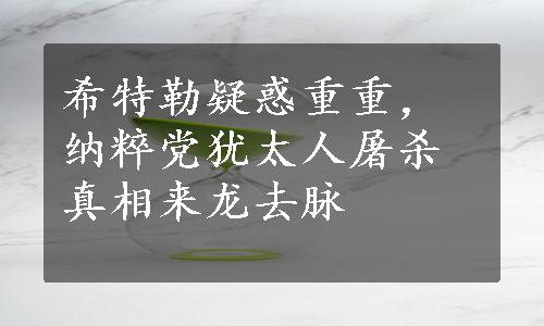 希特勒疑惑重重，纳粹党犹太人屠杀真相来龙去脉