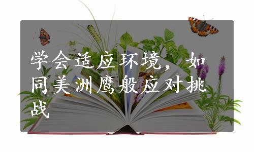 学会适应环境，如同美洲鹰般应对挑战