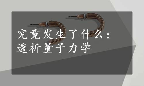 究竟发生了什么：透析量子力学