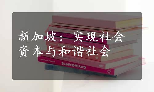 新加坡：实现社会资本与和谐社会