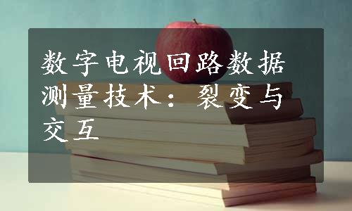 数字电视回路数据测量技术：裂变与交互