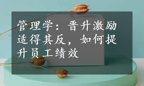 管理学：晋升激励适得其反，如何提升员工绩效