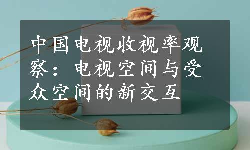 中国电视收视率观察：电视空间与受众空间的新交互