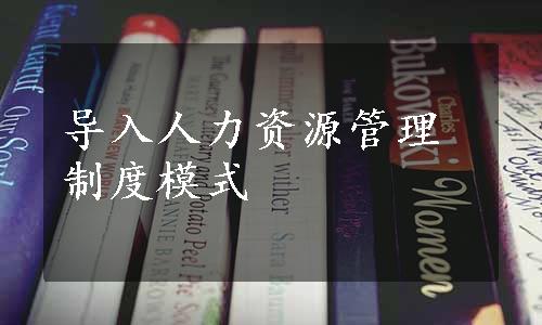 导入人力资源管理制度模式