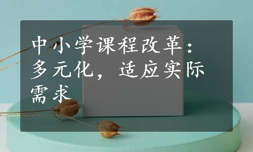 中小学课程改革：多元化，适应实际需求