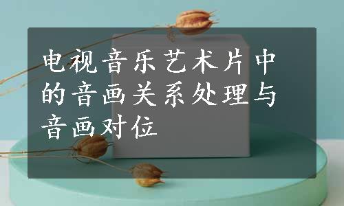 电视音乐艺术片中的音画关系处理与音画对位