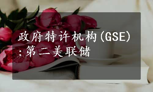 政府特许机构(GSE):第二美联储