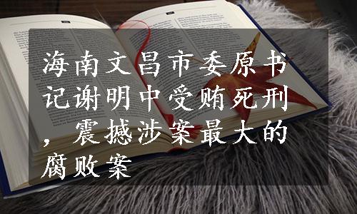 海南文昌市委原书记谢明中受贿死刑，震撼涉案最大的腐败案