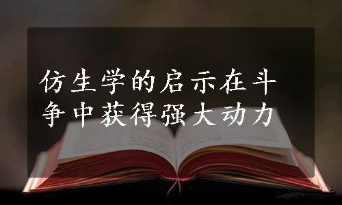 仿生学的启示在斗争中获得强大动力