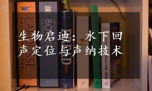 生物启迪：水下回声定位与声纳技术