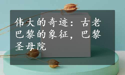 伟大的奇迹：古老巴黎的象征，巴黎圣母院