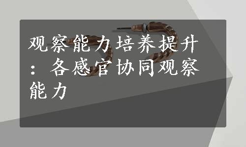 观察能力培养提升：各感官协同观察能力