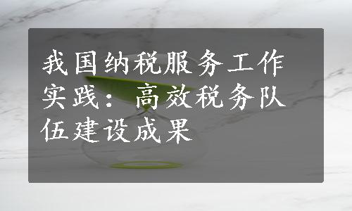 我国纳税服务工作实践：高效税务队伍建设成果