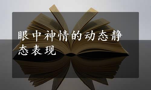 眼中神情的动态静态表现