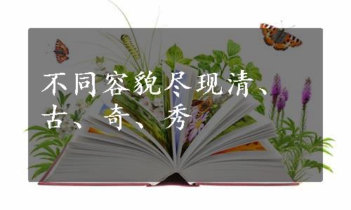 不同容貌尽现清、古、奇、秀