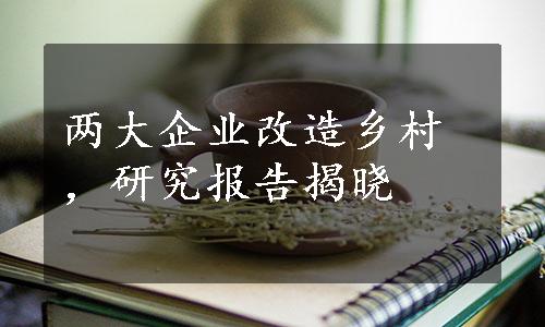 两大企业改造乡村，研究报告揭晓