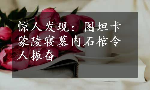 惊人发现：图坦卡蒙陵寝墓内石棺令人振奋