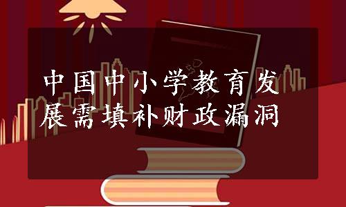 中国中小学教育发展需填补财政漏洞