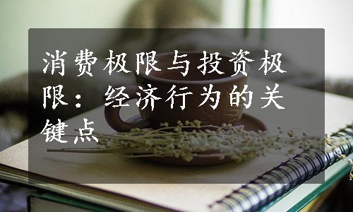 消费极限与投资极限：经济行为的关键点