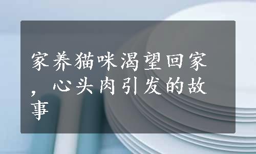 家养猫咪渴望回家，心头肉引发的故事