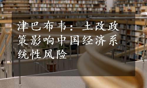 津巴布韦：土改政策影响中国经济系统性风险