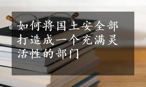 如何将国土安全部打造成一个充满灵活性的部门