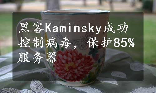 黑客Kaminsky成功控制病毒，保护85%服务器