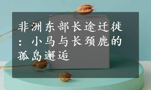 非洲东部长途迁徙：小马与长颈鹿的孤岛邂逅