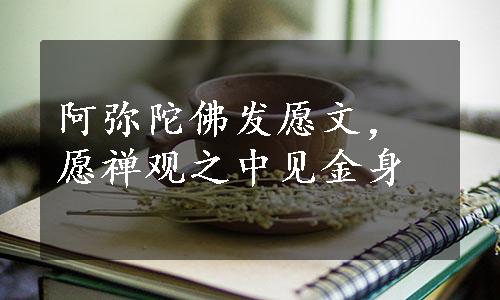 阿弥陀佛发愿文，愿禅观之中见金身