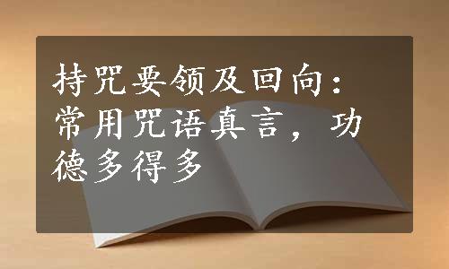 持咒要领及回向：常用咒语真言，功德多得多