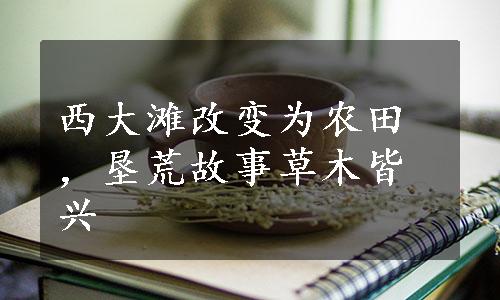 西大滩改变为农田，垦荒故事草木皆兴