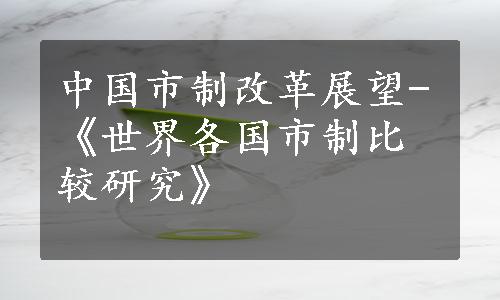 中国市制改革展望-《世界各国市制比较研究》