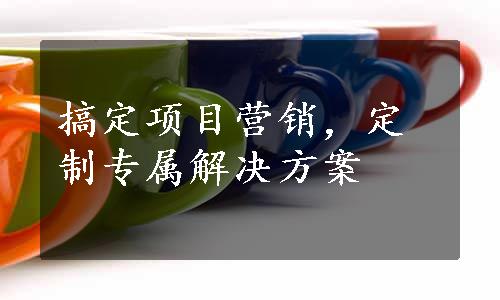 搞定项目营销，定制专属解决方案