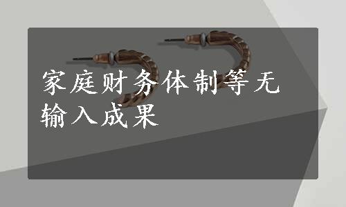 家庭财务体制等无输入成果