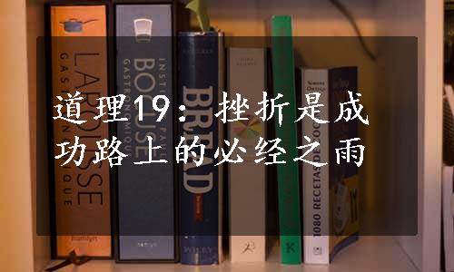 道理19：挫折是成功路上的必经之雨